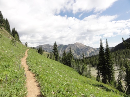 Miles of beautiful single track through alpine meadows.